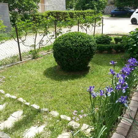 Apartman Rony * Zadar